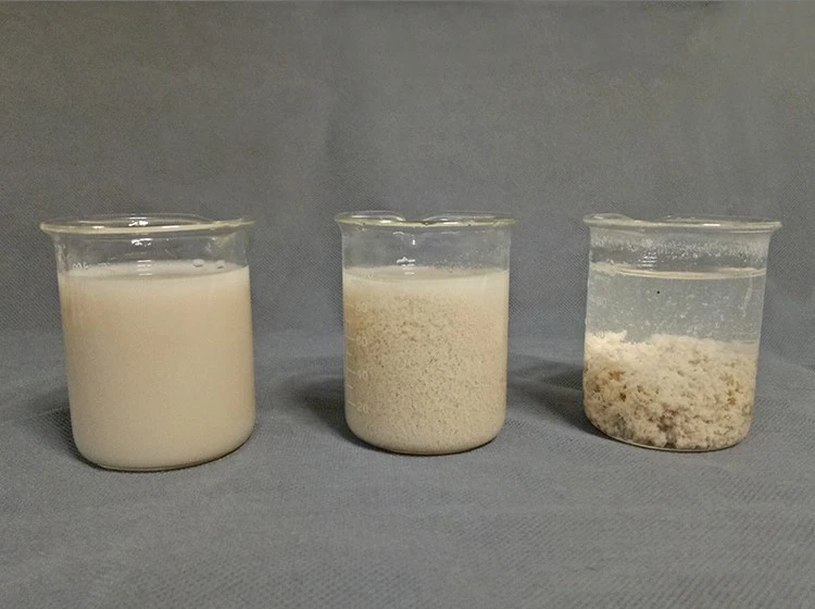 Anionic Polyacrylamide Flocculant for Water Treatment and Industrial Processes Anionic Polyacrylamide Flocculant for Water Treatment and Industrial Processes